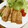 快くん's cooksnap of when they made 簡単☆ネギの肉巻き.