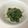 ダイエット23's cooksnap of when they made 菜の花のくるみ味噌和え.