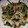 twokasa's cooksnap of when they made きのことほうれん草のにんにく炒め.