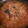★☆爽羽ﾏﾏ☆★'s cooksnap of when they made 鯖缶のおろし煮.