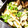 ヒィーー's cooksnap of when they made ちくわとピーマンのきんぴら.