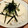 みさき0423's cooksnap of when they made 冬の味覚、美味しいとろろご飯.