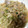 かぴーな's cooksnap of when they made 鶏モモ肉とセロリの簡単醤油炒め.