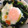 ぱぴぷぅぅぅ's cooksnap of when they made とろ～り半熟卵 ＊ ほうれん草ソテー.