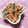 ぴぃとんちゃん's cooksnap of when they made マヨわさび de ごぼうのサラダ.