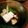 うmi's cooksnap of when they made かつお節屋の湯豆腐.