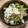 みみりゅ's cooksnap of when they made 簡単！長芋とめんたいマヨサラダ.