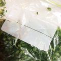 グランティラノス's cooksnap of when they made ★冷凍保存★万能ネギ.