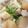 *四葉*'s cooksnap of when they made ✿母の味。豚バラと大根のコト×2煮✿.