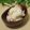 ぽっぽぺぺ's cooksnap of when they made 梅干しご飯.