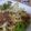 ｴﾑ子's cooksnap of when they made ニラ入り納豆オムレツ.