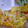 くまりん♪'s cooksnap of when they made 簡単★オレンジケーキ～みかんの缶詰編～.