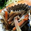 ユーロン's cooksnap of when they made 万能おかず☆きんぴらごぼう.