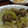QPはにー's cooksnap of when they made 春キャベツとあさりの酒蒸し.