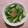 ひれまま's cooksnap of when they made おくらの香り和え.
