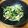 nao3☆'s cooksnap of when they made 豆苗とツナの和え物♪.