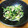 nao3☆'s cooksnap of when they made 豆苗とツナの和え物♪.