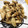 foglia5655's cooksnap of when they made ふっくら☆鶏ささみとキノコの塩麹炒め.