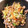 しゅかのん's cooksnap of when they made 簡単 絶品！ 中華 オイスター 野菜炒め.