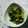 ma___111's cooksnap of when they made さっぱり☆きゅうりの梅しそ和え.