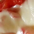 vegeking's cooksnap of when they made 塩とまと＊トースト.