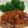 あーこーママ's cooksnap of when they made ヘルシー☆イカと豆腐のハンバーグ.