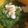 sbx2tm3's cooksnap of when they made レンジで！シーフードと菜の花の焼そば風.