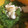 sbx2tm3's cooksnap of when they made レンジで！シーフードと菜の花の焼そば風.