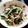 Lycheesoda's cooksnap of when they made もやしとほうれんそうのナムル風.