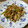 しのばぁたん's cooksnap of when they made イカの生姜炒め.