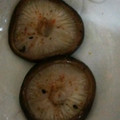 ma___111's cooksnap of when they made 簡単◎椎茸の白だし焼き～秋の足音～.