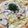 foglia5655's cooksnap of when they made きのこたっぷり簡単クリームパスタ.