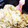 ＊pika's cooksnap of when they made 里芋の炊き込みご飯.
