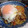 ケイトん星人's cooksnap of when they made けんちゃん♪短冊大根の巣篭もり風.