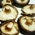 Ｒｙｏｋｏ★'s cooksnap of when they made 椎茸をシンプルに美味しく焼く.