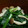 うりだー★'s cooksnap of when they made ほうれん草としめじのおひたし.