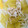 マスカル12's cooksnap of when they made 離乳食完了期　ささみと青梗菜のうどん.