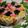 hitomi716's cooksnap of when they made ちらし寿司ケーキ.