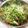 nilon100's cooksnap of when they made 塩麹✿豆苗がモリモリ食べられる和え物✿.