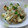 まほじょ's cooksnap of when they made しめじと油揚げのおろしポン酢和え.