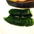 ぽむぽむ★'s cooksnap of when they made お弁当に☆簡単！きゅうりの飾り切り.