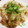 クックADLFEA☆'s cooksnap of when they made 大根と豚肉の炒め物.