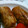 pirobo's cooksnap of when they made 厚揚げの肉巻き.