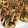 Nya6nya6's cooksnap of when they made おから＆とうふのお好み焼き.
