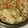 EARTHママ's cooksnap of when they made 鶏ごぼうの炊き込みご飯.