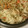 EARTHママ's cooksnap of when they made 鶏ごぼうの炊き込みご飯.