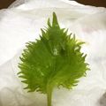 ミリラム's cooksnap of when they made 【パリッと長持ち】　大葉（しそ）の保存法.
