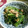 むさしー's cooksnap of when they made ５分で楽勝♪絶品☆法蓮草とツナのお浸し.