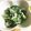 Jハッシー's cooksnap of when they made 簡単！5分で出来る、ほうれん草の白和え.