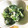 Jハッシー's cooksnap of when they made 簡単！5分で出来る、ほうれん草の白和え.